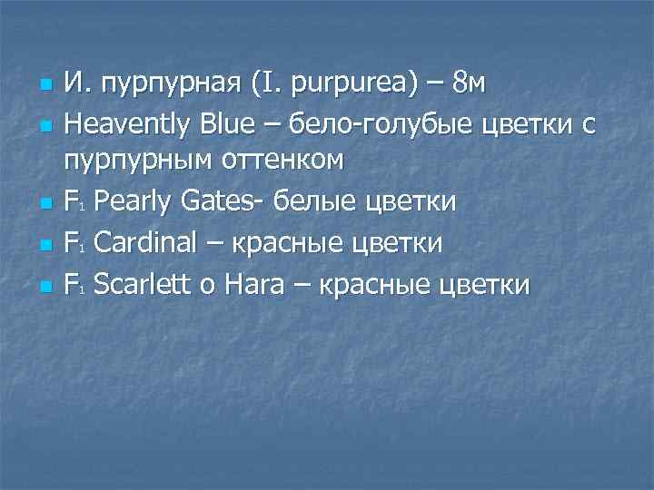 n n n И. пурпурная (I. purpurea) – 8 м Heavently Blue – бело