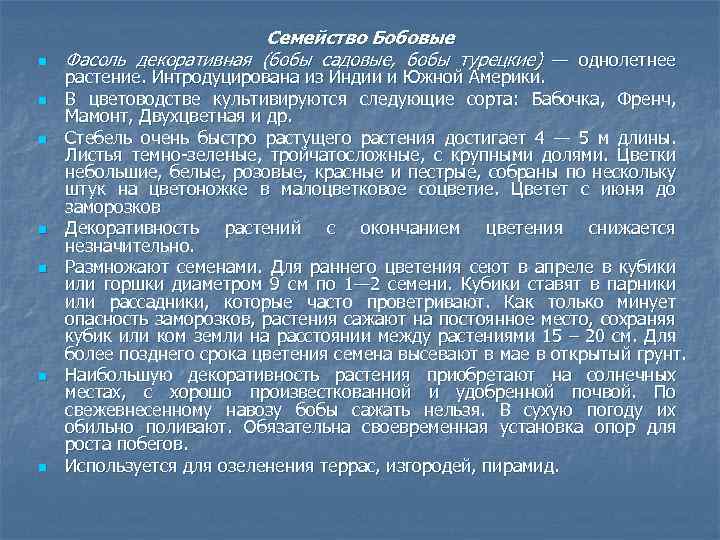 n n n n Семейство Бобовые Фасоль декоративная (бобы садовые, бобы турецкие) — однолетнее