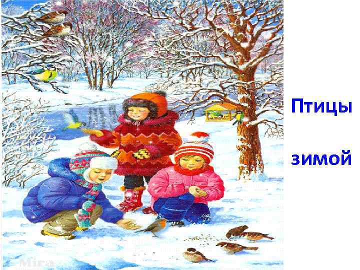 Птицы зимой 