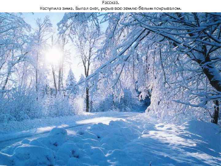 Рассказ. Наступила зима. Выпал снег, укрыв всю землю белым покрывалом. 