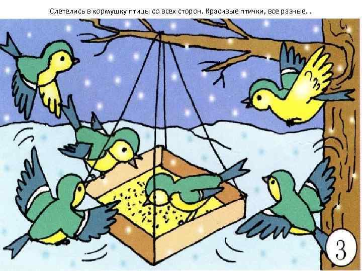 Слетелись в кормушку птицы со всех сторон. Красивые птички, все разные. . 