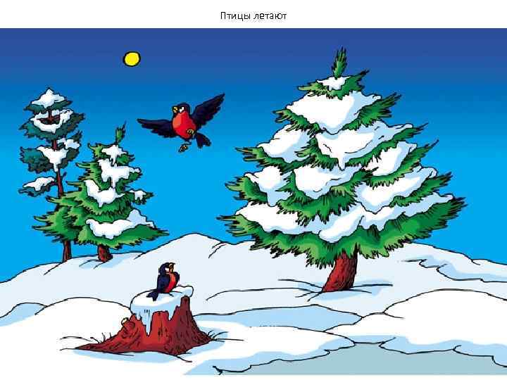 Птицы летают 