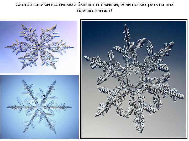 Смотри какими красивыми бывают снежинки, если посмотреть на них близко-близко! 