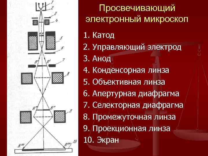 Просвечивающий электронный микроскоп 1. Катод 2. Управляющий электрод 3. Анод 4. Конденсорная линза 5.