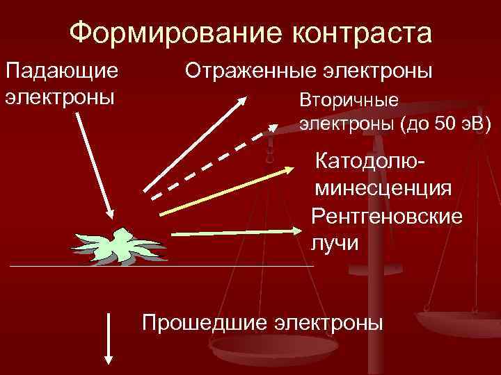Формирование контраста Падающие электроны Отраженные электроны Вторичные электроны (до 50 э. В) Катодолюминесценция Рентгеновские