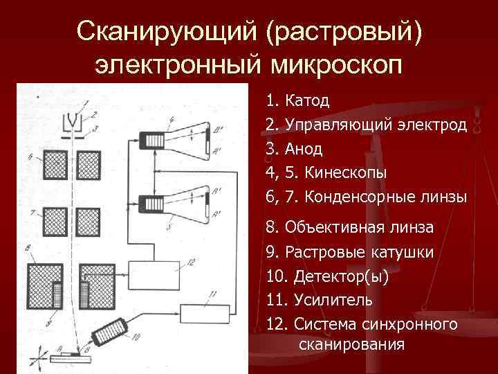 Сканирующий (растровый) электронный микроскоп 1. Катод 2. Управляющий электрод 3. Анод 4, 5. Кинескопы