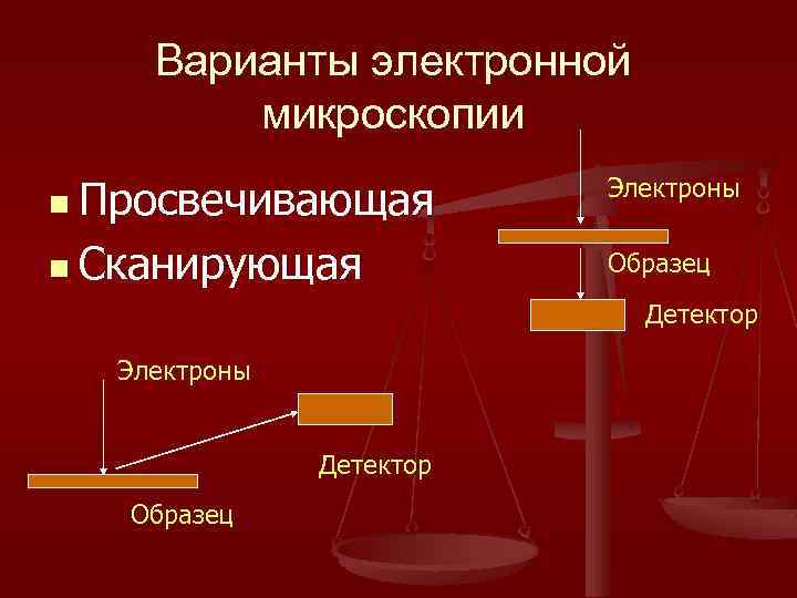 Варианты электронной микроскопии n Просвечивающая Электроны n Сканирующая Образец Детектор Электроны Детектор Образец 