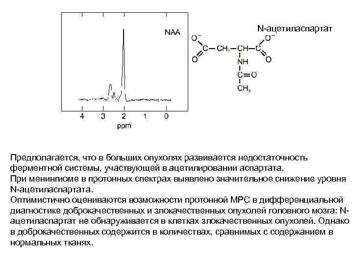 N-ацетиласпартат Предполагается, что в больших опухолях развивается недостаточность ферментной системы, участвующей в ацетилировании аспартата.