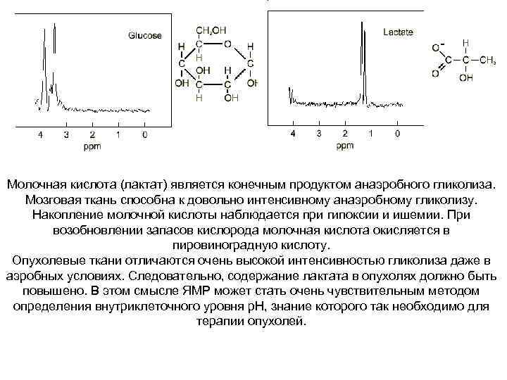 Молочная кислота (лактат) является конечным продуктом анаэробного гликолиза. Мозговая ткань способна к довольно интенсивному