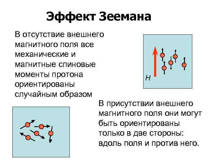 Эффект Зеемана В отсутствие внешнего магнитного поля все механические и магнитные спиновые моменты протона