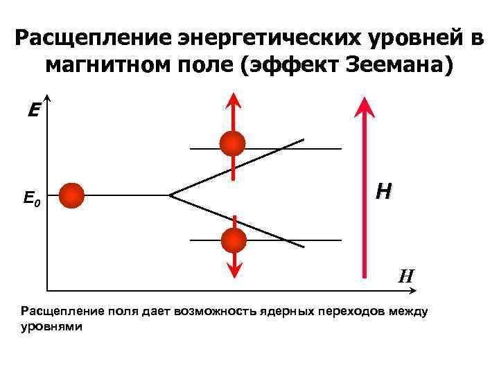 Расщепление энергетических уровней в магнитном поле (эффект Зеемана) E E 0 H H Расщепление