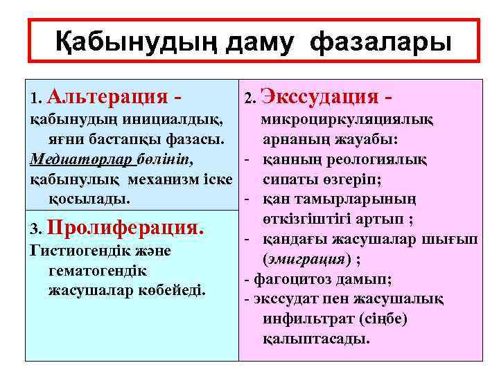 Қабынудың даму фазалары 1. Альтерация 2. Экссудация қабынудың инициалдық, микроциркуляциялық яғни бастапқы фазасы. арнаның