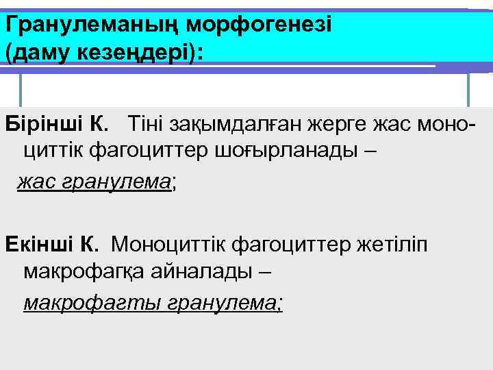 Гранулеманың морфогенезі (даму кезеңдері): Бірінші К. Тіні зақымдалған жерге жас моноциттік фагоциттер шоғырланады –