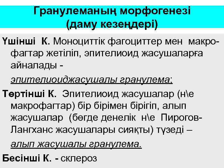 Гранулеманың морфогенезі (даму кезеңдері) Үшінші К. Моноциттік фагоциттер мен макрофагтар жетіліп, эпителиоид жасушаларға айналады