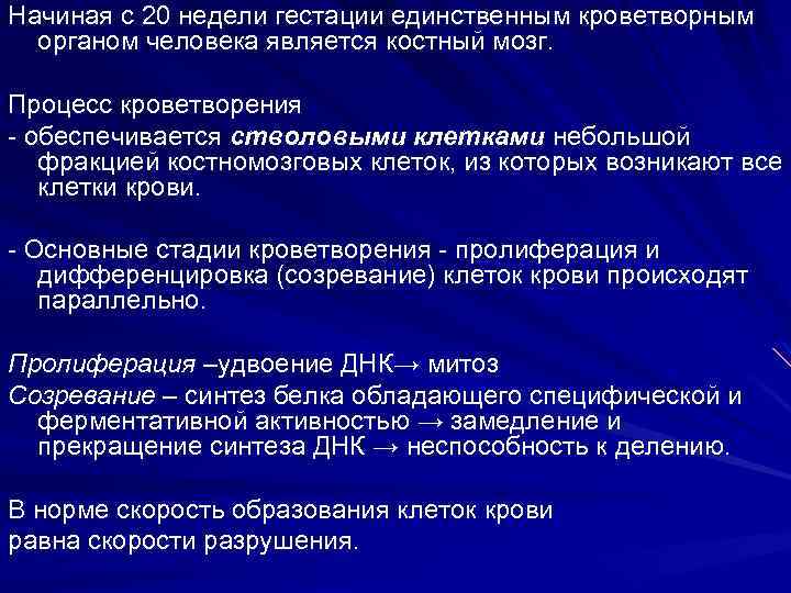 Начиная с 20 недели гестации единственным кроветворным органом человека является костный мозг. Процесс кроветворения