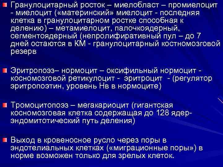 Гранулоцитарный росток – миелобласт – промиелоцит - миелоцит ( «материнский» миелоцит - последняя клетка