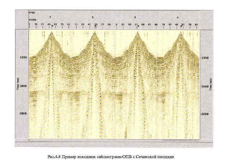 Рис. 4. 8 Пример исходных сейсмограмм ОПВ с Сечинской площади 