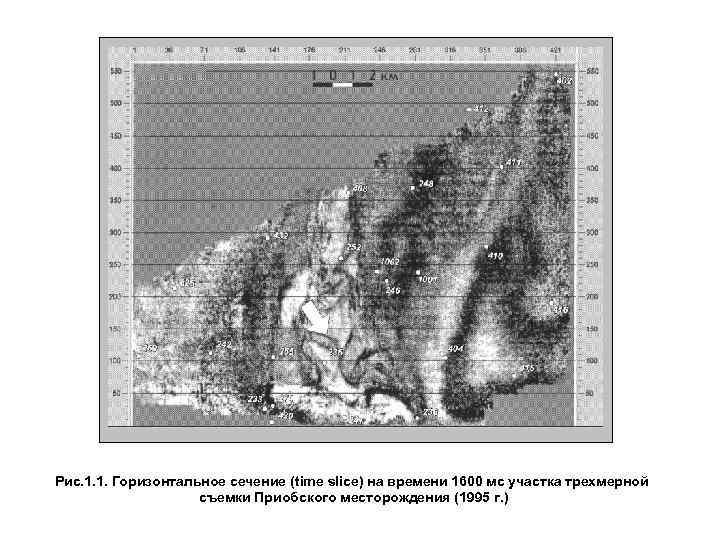 Рис. 1. 1. Горизонтальное сечение (time slice) на времени 1600 мс участка трехмерной съемки