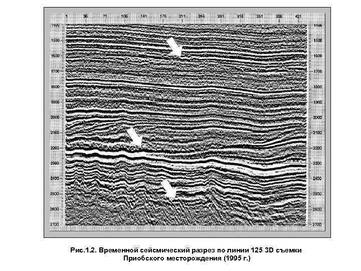 Рис. 1. 2. Временной сейсмический разрез по линии 125 3 D съемки Приобского месторождения