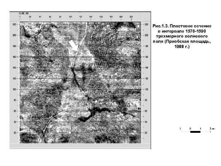 Рис. 1. 3. Пластовое сечение в интервале 1570 -1590 трехмерного волнового поля (Приобская площадь,