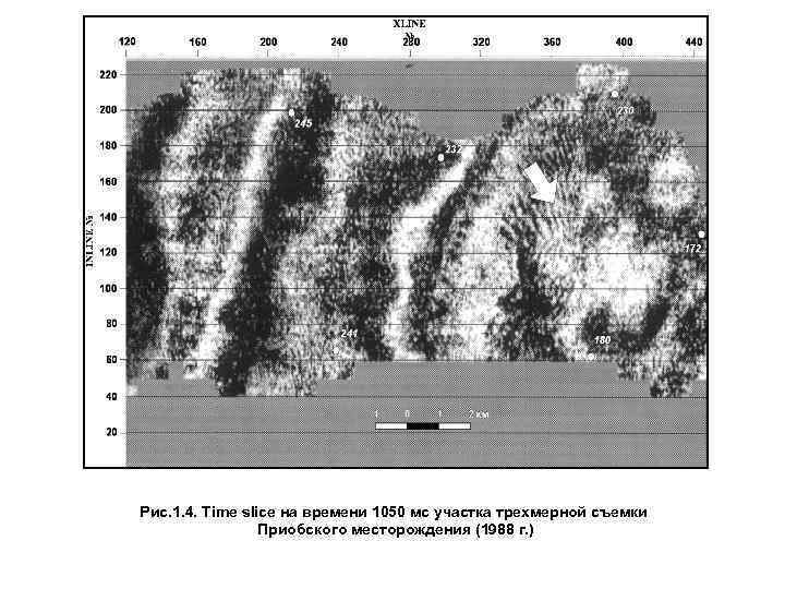 Рис. 1. 4. Time slice на времени 1050 мс участка трехмерной съемки Приобского месторождения