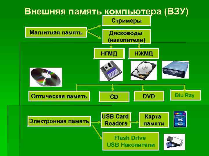 К внешним устройствам компьютера относится