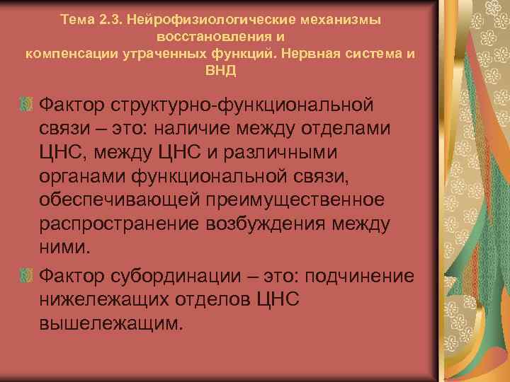 Тема 2. 3. Нейрофизиологические механизмы восстановления и компенсации утраченных функций. Нервная система и ВНД