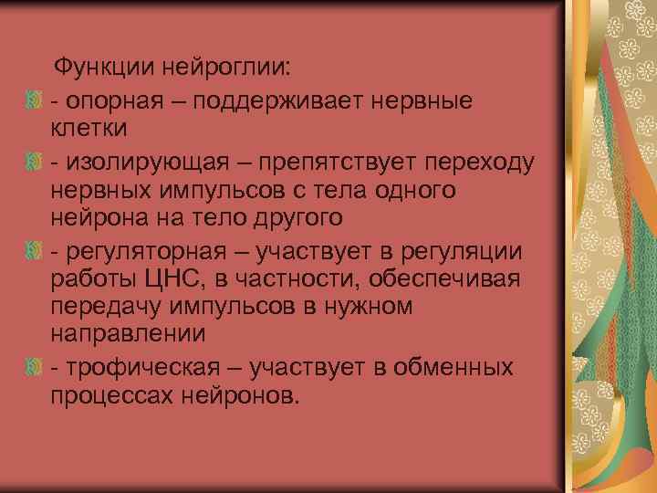  Функции нейроглии: - опорная – поддерживает нервные клетки - изолирующая – препятствует переходу