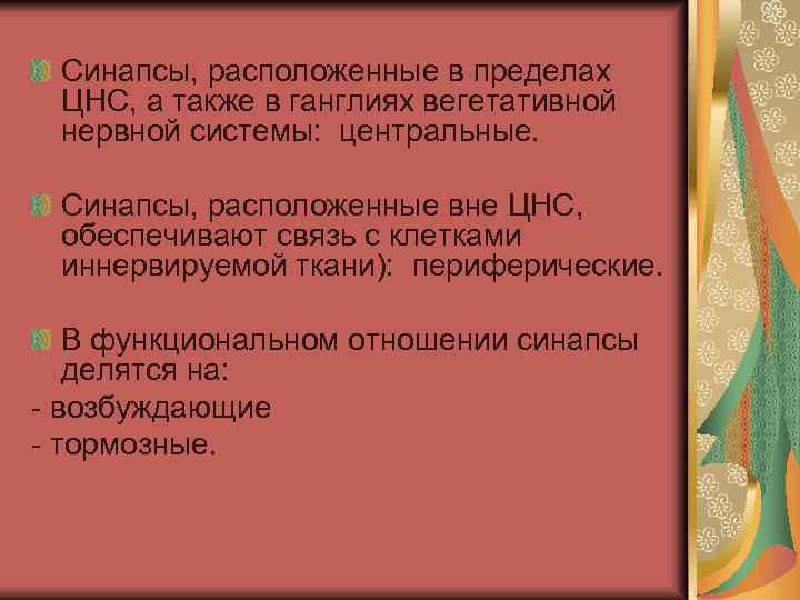 Синапсы, расположенные в пределах ЦНС, а также в ганглиях вегетативной нервной системы: центральные. Синапсы,