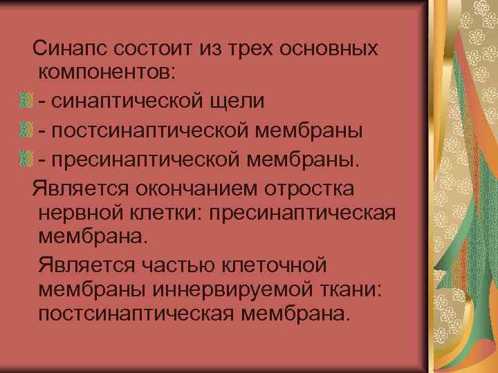  Синапс состоит из трех основных компонентов: - синаптической щели - постсинаптической мембраны -