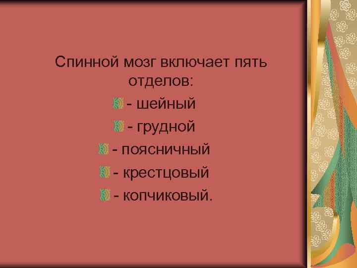  Спинной мозг включает пять отделов: - шейный - грудной - поясничный - крестцовый