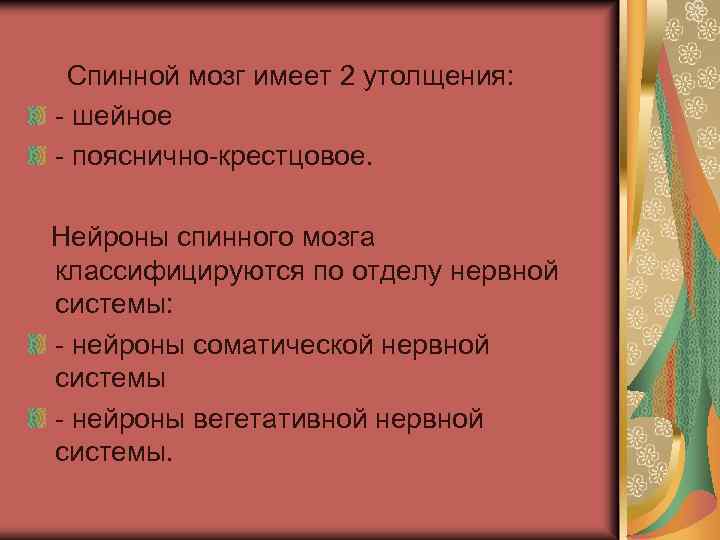  Спинной мозг имеет 2 утолщения: - шейное - пояснично-крестцовое. Нейроны спинного мозга классифицируются