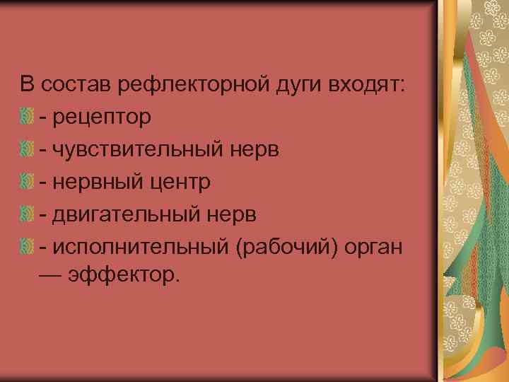  В состав рефлекторной дуги входят: - рецептор - чувствительный нерв - нервный центр