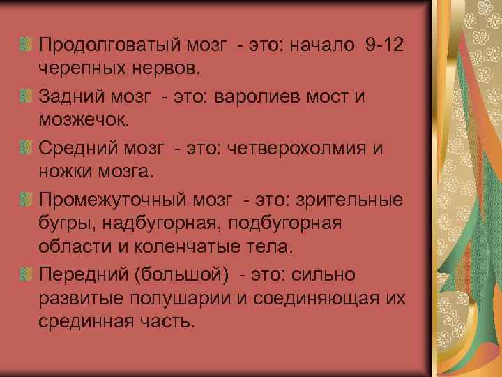 Продолговатый мозг - это: начало 9 -12 черепных нервов. Задний мозг - это: варолиев