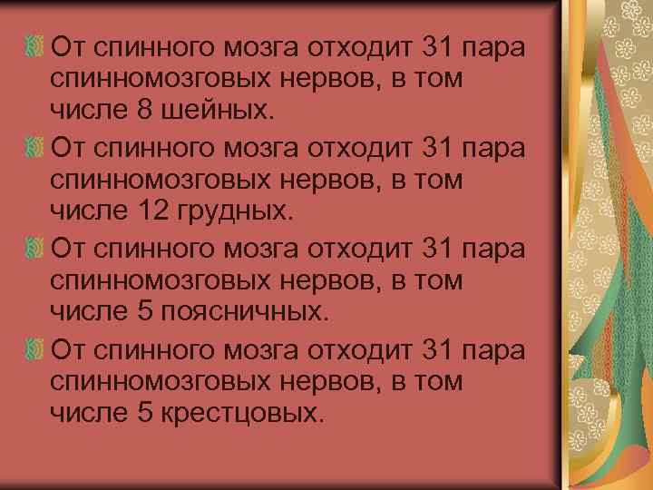 От спинного мозга отходит 31 пара спинномозговых нервов, в том числе 8 шейных. От