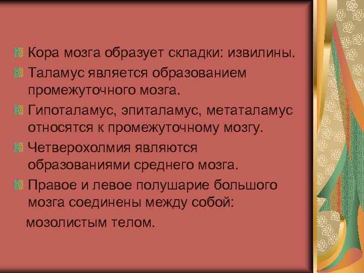 Кора мозга образует складки: извилины. Таламус является образованием промежуточного мозга. Гипоталамус, эпиталамус, метаталамус относятся