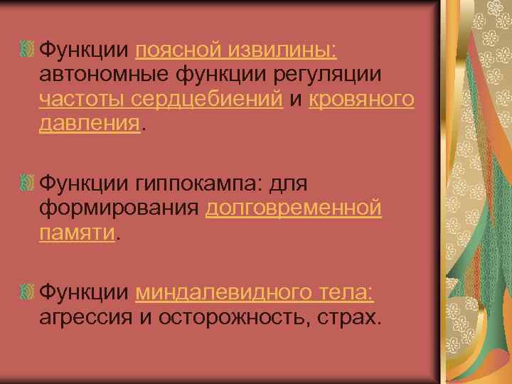 Функции поясной извилины: автономные функции регуляции частоты сердцебиений и кровяного давления. Функции гиппокампа: для