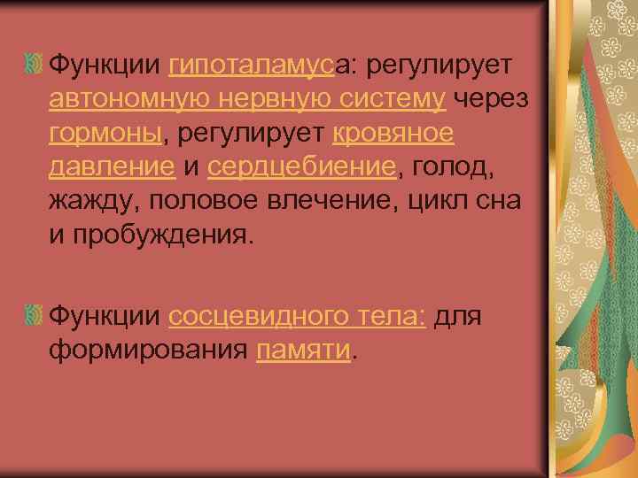 Функции гипоталамуса: регулирует автономную нервную систему через гормоны, регулирует кровяное давление и сердцебиение, голод,