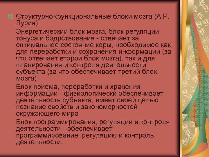 Структурно-функциональные блоки мозга (А. Р. Лурия) Энергетический блок мозга, блок регуляции тонуса и бодрствования