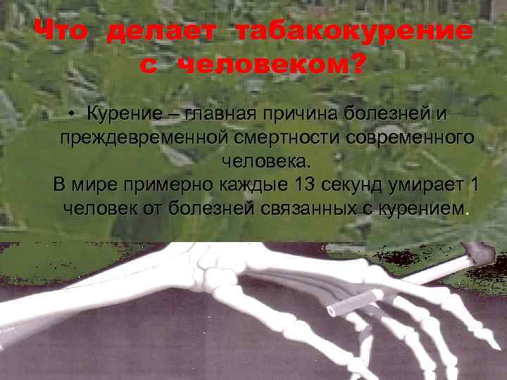 Что делает табакокурение с человеком? • Курение – главная причина болезней и преждевременной смертности