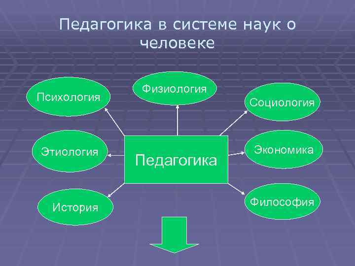 Педагогика в системе наук о человеке Психология Этиология История Физиология Социология Педагогика Экономика Философия