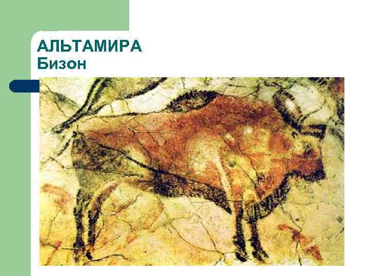 АЛЬТАМИРА Бизон 