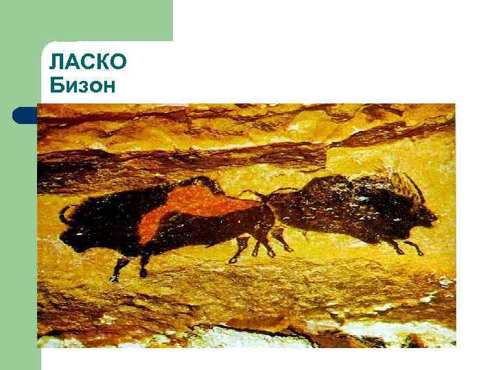 ЛАСКО Бизон 