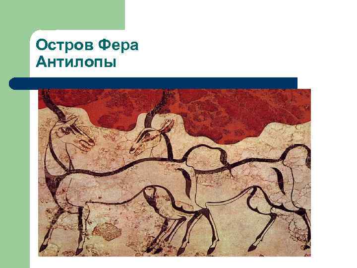 Остров Фера Антилопы 