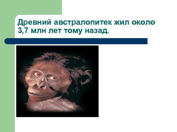 Древний австралопитек жил около 3, 7 млн лет тому назад. 