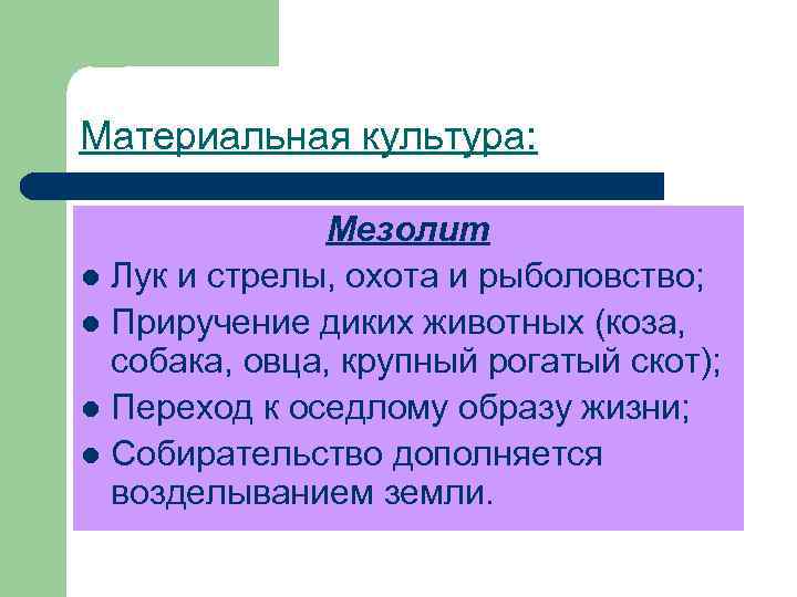 Материальная культура: Мезолит l Лук и стрелы, охота и рыболовство; l Приручение диких животных