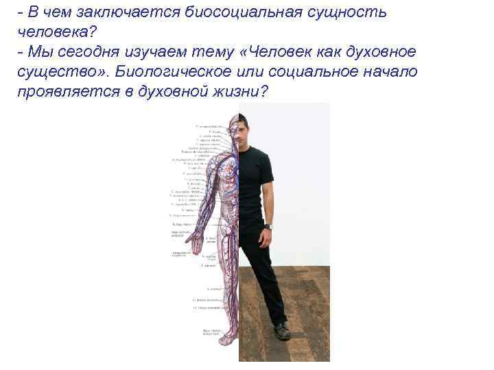 - В чем заключается биосоциальная сущность человека? - Мы сегодня изучаем тему «Человек как