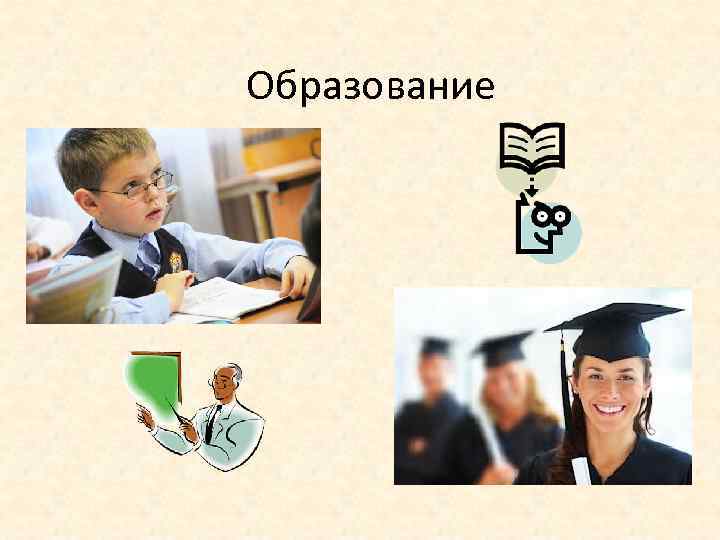 Образование 