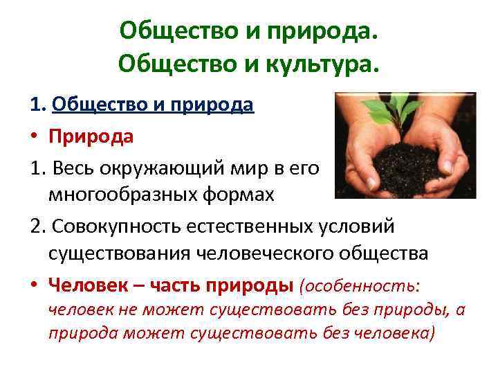 Общество и природа. Общество и культура. 1. Общество и природа • Природа 1. Весь