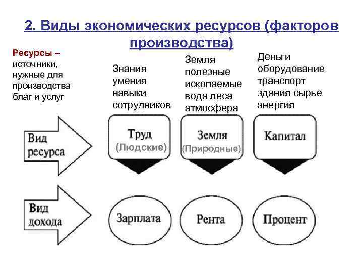 2. Виды экономических ресурсов (факторов производства) Ресурсы – источники, нужные для производства благ и